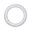 TUBO20FLUORESCENTE20CIRCULAR202220WTS.2008-21-0261