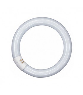 TUBO20FLUORESCENTE20CIRCULAR202220WTS.2008-21-0261