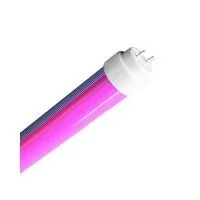 tubo-led-t8-carnicerias-200x200.jpg