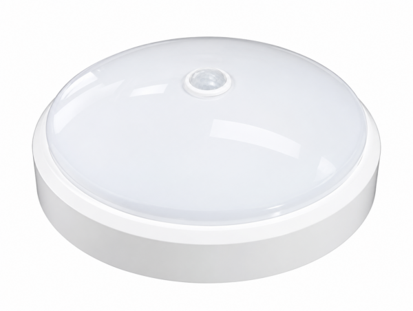 ChatGPT Image 24_09_2026, 10_00_41